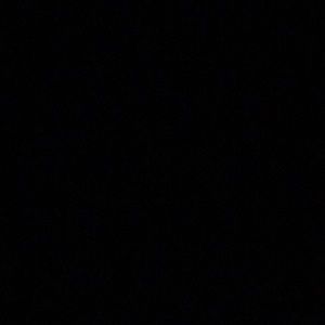 Meet your Posher, Presley